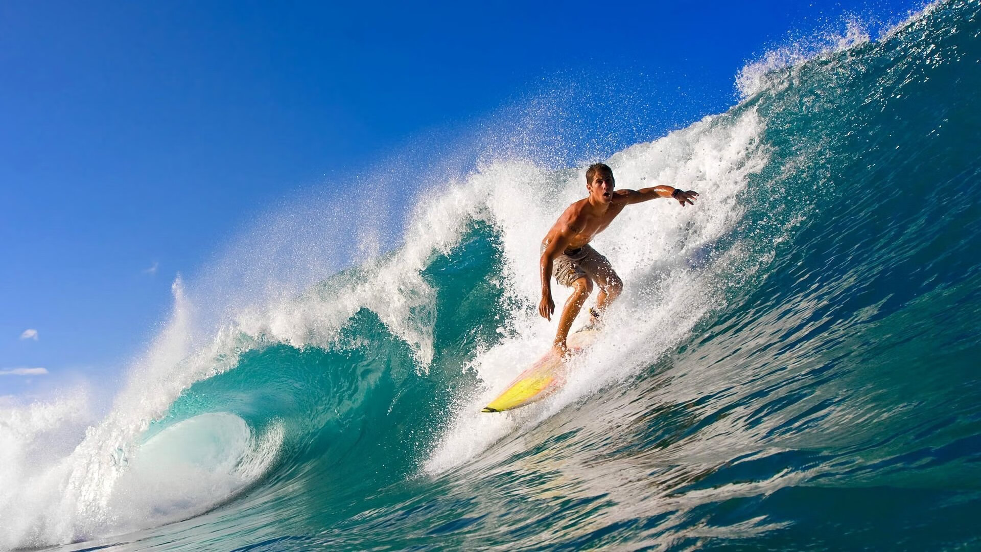 未来新星：深度挖掘联盟潜力股，未来new